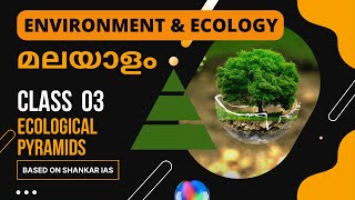 Ecological Pyramids Malayalam  Shankar IAS Environment amp Ecology  UPSC CSE  Learnerz [upl. by Strep615]