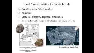 Biostratigraphy [upl. by Einberger]