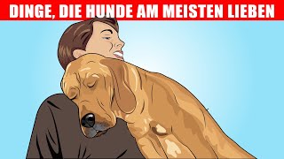 15 Dinge die Hunde am meisten lieben [upl. by Anniahs303]