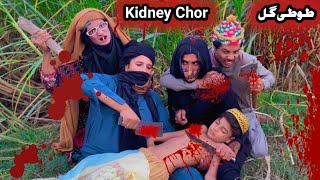 Kidney Chor Ao Tuti Gull Pashto New Funny Video 2023 by Bebe Vines Plus [upl. by Nilya]