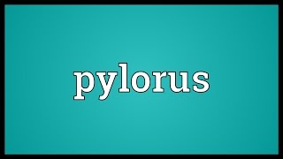 Pylorus Meaning [upl. by Lekar]