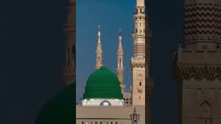 Madine ki Galina islamicshorts madina shortvideo utubeshorts viralvideo [upl. by Nnitsuj]