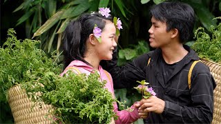 Full video The journey of Pao and Sua from harvesting to buying land [upl. by Fanning]