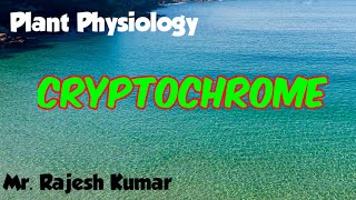 Cryptochrome Plant physiologyCSIR NET in Hindi [upl. by Phedra]