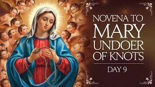 Day 9 MIRACLES with Mary Undoer of Knots [upl. by Nwahshar]