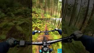 Baiersbronn Trails foryou mtb germany romania bikelife mountainbike viralvideo shorts [upl. by Animsay]