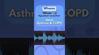 Different lung sound and their indications mbbs doctor medicalcollegelife neet2024 neet short [upl. by Assila]