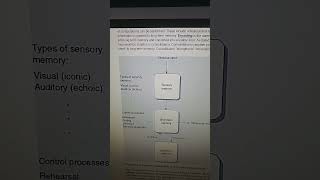 Atkinson and shiffrin modal memory model [upl. by Trilbie]