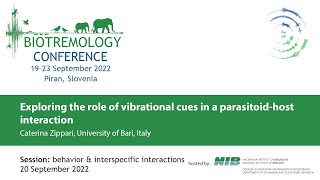 Exploring the role of vibrational cues in a parasitoidhost interaction [upl. by Tarrel]