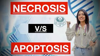 NECROSIS vs APOPTOSIS [upl. by Tillinger748]