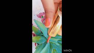 Agave plant care tips tharmacol balls and nail paint [upl. by Tice]