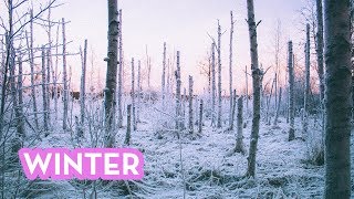 WINTER WONDERLAND [upl. by Gnod]