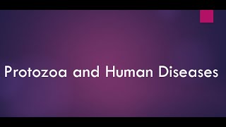 Protozoa and Human Diseases I Malaria I African Trypanosomiasis I Leishmaniasis I Toxoplasmosis [upl. by Revert]