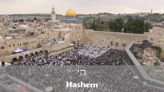 Birkat Kohanim Priestly Blessing at the Kotel in Jerusalem 5771 2011 [upl. by Shalne]