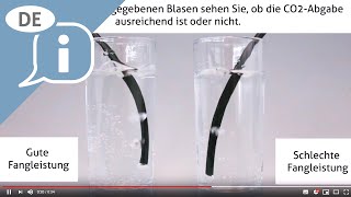 Überprüfung der CO2Abgabe bei BiogentsMückenfallen [upl. by Naleag]