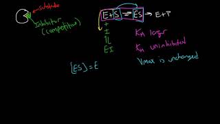 Competitive Inhibition Plots [upl. by Guzel]