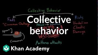 Aspects of Collective Behavior Fads Mass Hysteria and Riots  Behavior  MCAT  Khan Academy [upl. by Leitao172]