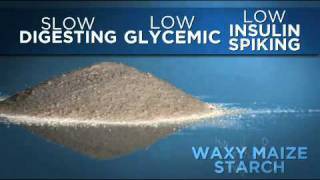 Waxy Maize Guide  Bodybuildingcom [upl. by Edward]