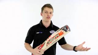 Cricket Bat Sweetspots Explained [upl. by Candy]