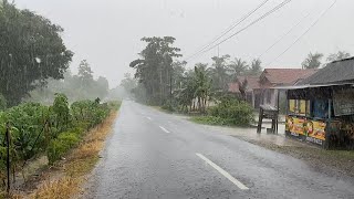 Heavy Rain and Strong Winds for Long Time in Village Life  Rain Sounds Introduction Sleeping [upl. by Einatirb]