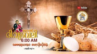 Sunday Holy Mass Live 6 AM 10112024From Basilica Of Our Lady Of Snow Palliport [upl. by Lleira]