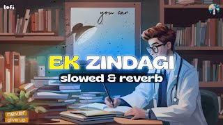 Ek Zindagi Slowed  Reverb  Angrezi Medium  Sabki Rok Hai Tok Hai [upl. by Nnaul]