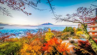 Sacred Peaks The Cultural Significance of Mount Fuji [upl. by Yesiad21]