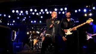 Neon Trees  Animal  Live On Fearless Music HD [upl. by Idihsar]