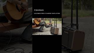 FISHMAN Loudbox Mini Charge Amplifier Demo [upl. by Shulock683]