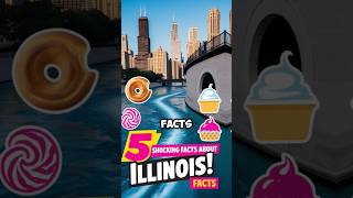 Hidden Illinois 5 MindBlowing Facts You’ll Love shorts youtubeshorts ytshorts facts [upl. by Amada]