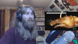 UNDERWATER AWESOMENESS  Ryan Reacts to 8 Strange New Deep Sea Creatures [upl. by Tengdin]