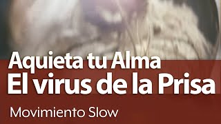 ☕ El Virus de la Prisa  AQUIETA tu ALMA ➤¿Cómo Ralentizar la vida  Movimiento Slow [upl. by Dickey]