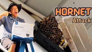 Eufy Wired Floodlight Cam E340 Installation Disaster Attacked by Hornets [upl. by Synn]