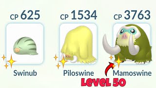 Shiny Swinub Evolution Line Team in Pokemon GO [upl. by Christean]