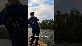 Light tackle estuary fishing at its best [upl. by Ileak]