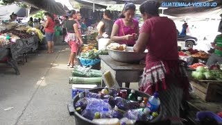 Dia de Plaza En Caballo Blanco Reu Guatemala 2017 [upl. by Vincentia25]