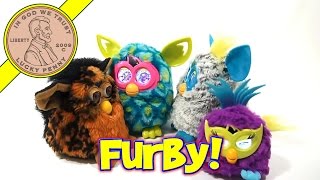 Furby Boom Peacock 2013 Hasbro Toys  A New Generation Is Hatching [upl. by Adnolahs]