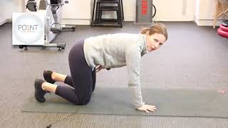 Shoulder Stabilization and Core Warmup Exercise [upl. by Yaf]