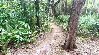 Okeeheelee Park MTB Bike Trail 02 [upl. by Bein611]