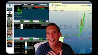 79 in 1 Hour Holly GOVX Call Pays Big for TI Premiums [upl. by Ethelred]