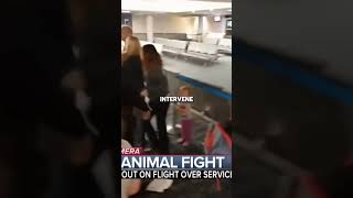 Families Clash Over Service Dog on Plane foryou fyp shorts dog plane animals family [upl. by Koball66]