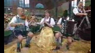 Elstätzinger Musikanten  Windhofer Polka 2004 [upl. by Hesoj]