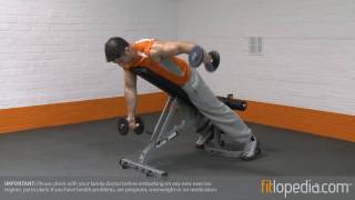 Incline Prone Alternate Reverse Dumbbell Fly [upl. by Pinkerton]