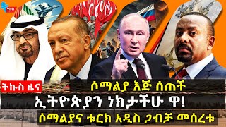 የኢትዮጵያ አዲሱ እቅድክረቱ ጦዟልቱርክ አሽቃበጠችሶማልያ እጅ ሰጠች GMN fetadaily [upl. by Eseilenna422]