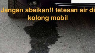 Tetesan air di kolong mobil Bahaya atau tidak [upl. by Yelrihs913]