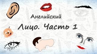 Части лица на английском часть 1 Запоминаем части лица на английском [upl. by Oecam627]