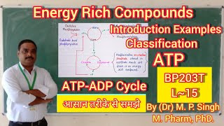 Energy Rich Compounds  Adenosine Triphosphate ATP  ATPADP Cycle  Biochemistry  BP203T  L15 [upl. by Odlanier88]