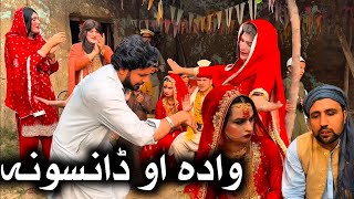 Wada Ao DanSona  Khpala Weena Drama Episode 53 By Charsadda Vines Director SadiqKhan 2024 trendin [upl. by Gilberta]