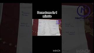 Dermatome explained in 1 minute [upl. by Christmann839]