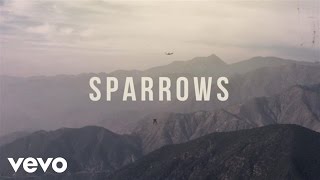 Jason Gray  Sparrows Official Lyric Video [upl. by Winton]